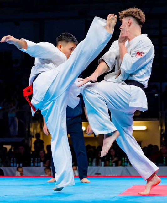 《日本選手応援》台湾にて開催の国際大会出場選手からの感謝動画付き応援プラン